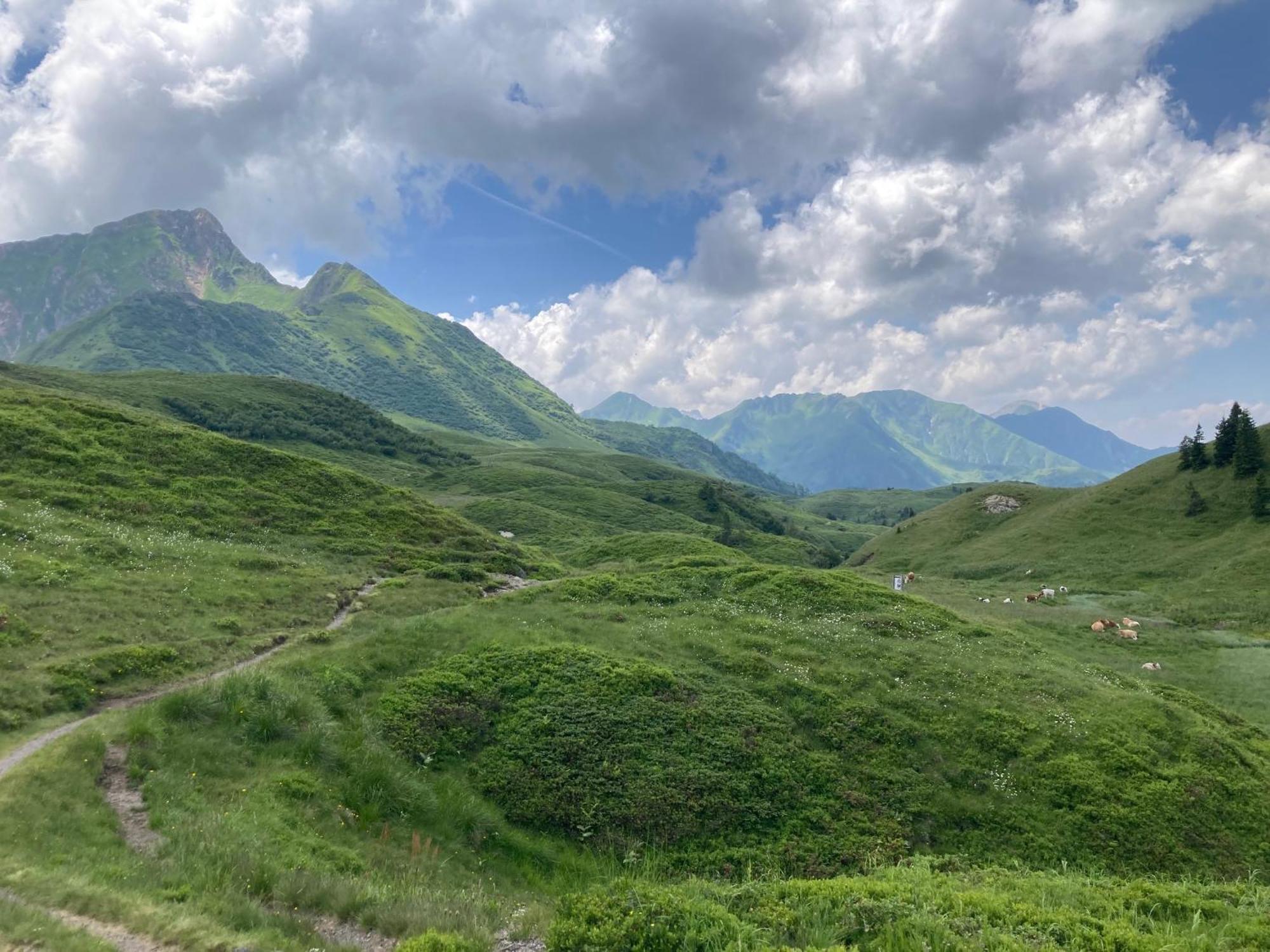 B-Lodge Kaernten Kirchbach  Exteriér fotografie