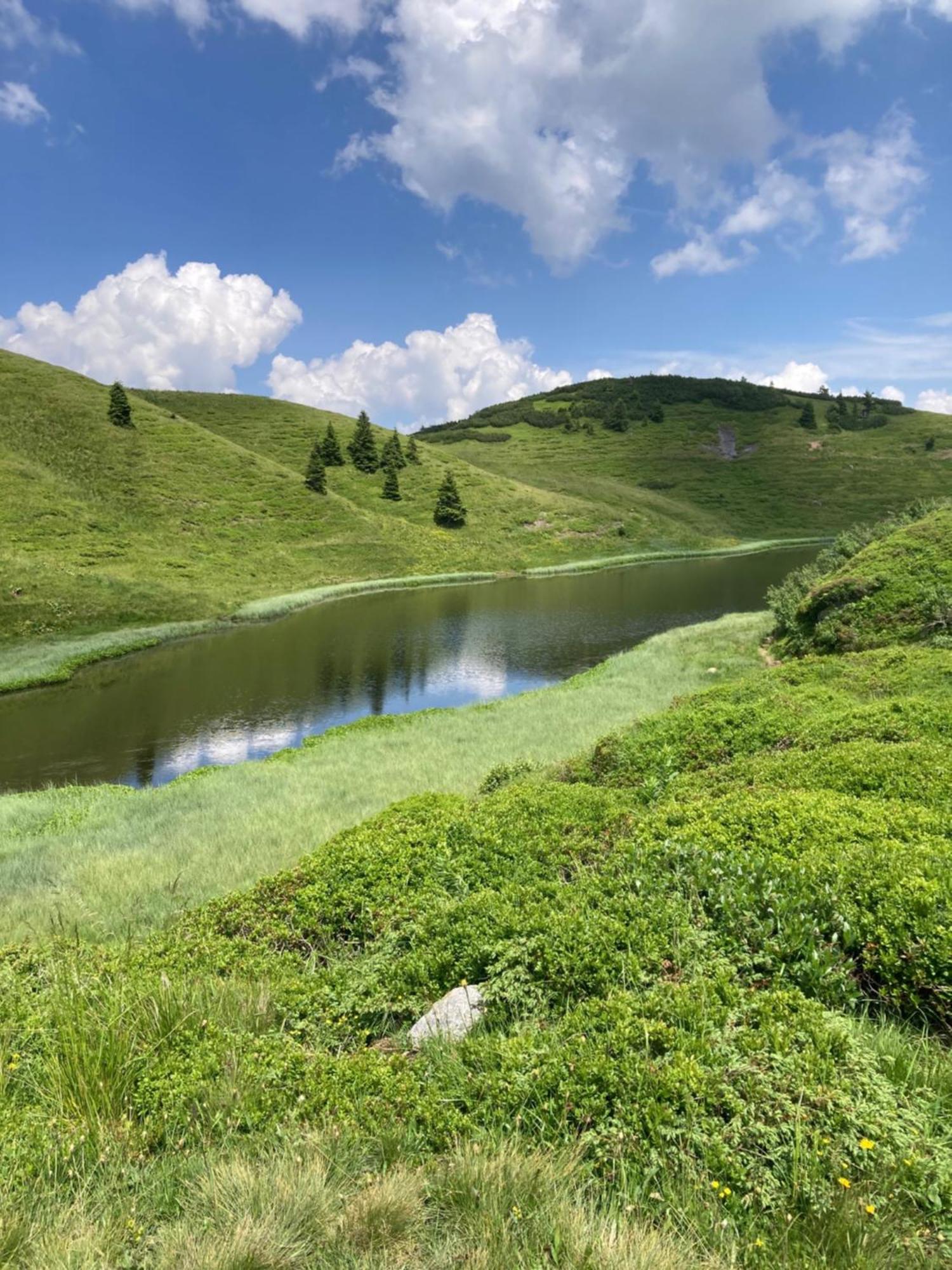 B-Lodge Kaernten Kirchbach  Exteriér fotografie